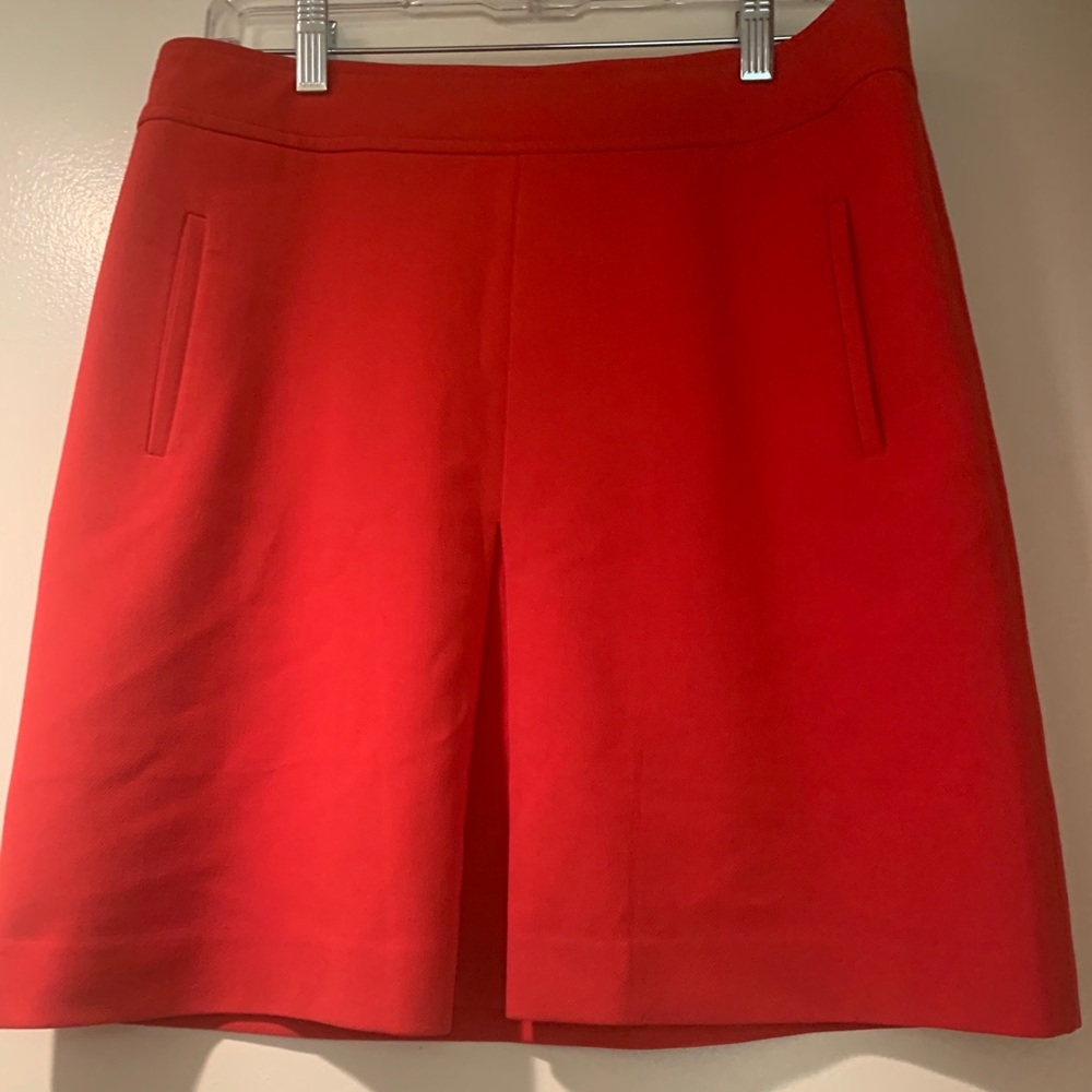 Ann Taylor Skirt